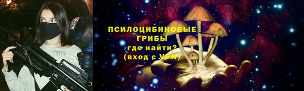 винт Богородицк