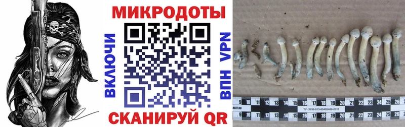 Галлюциногенные грибы ЛСД  что такое   Великие Луки 